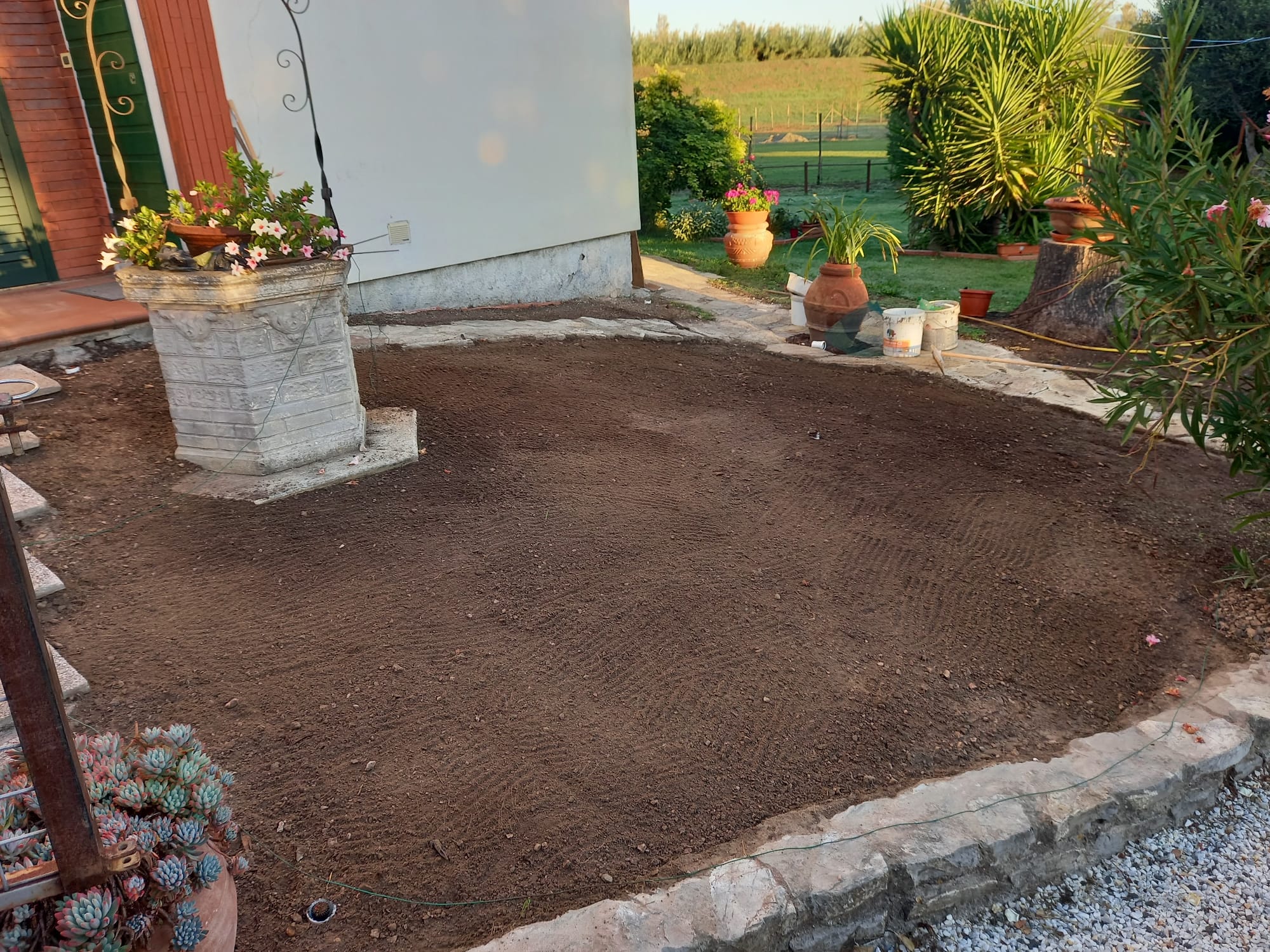 Decorazioni-2.jpg