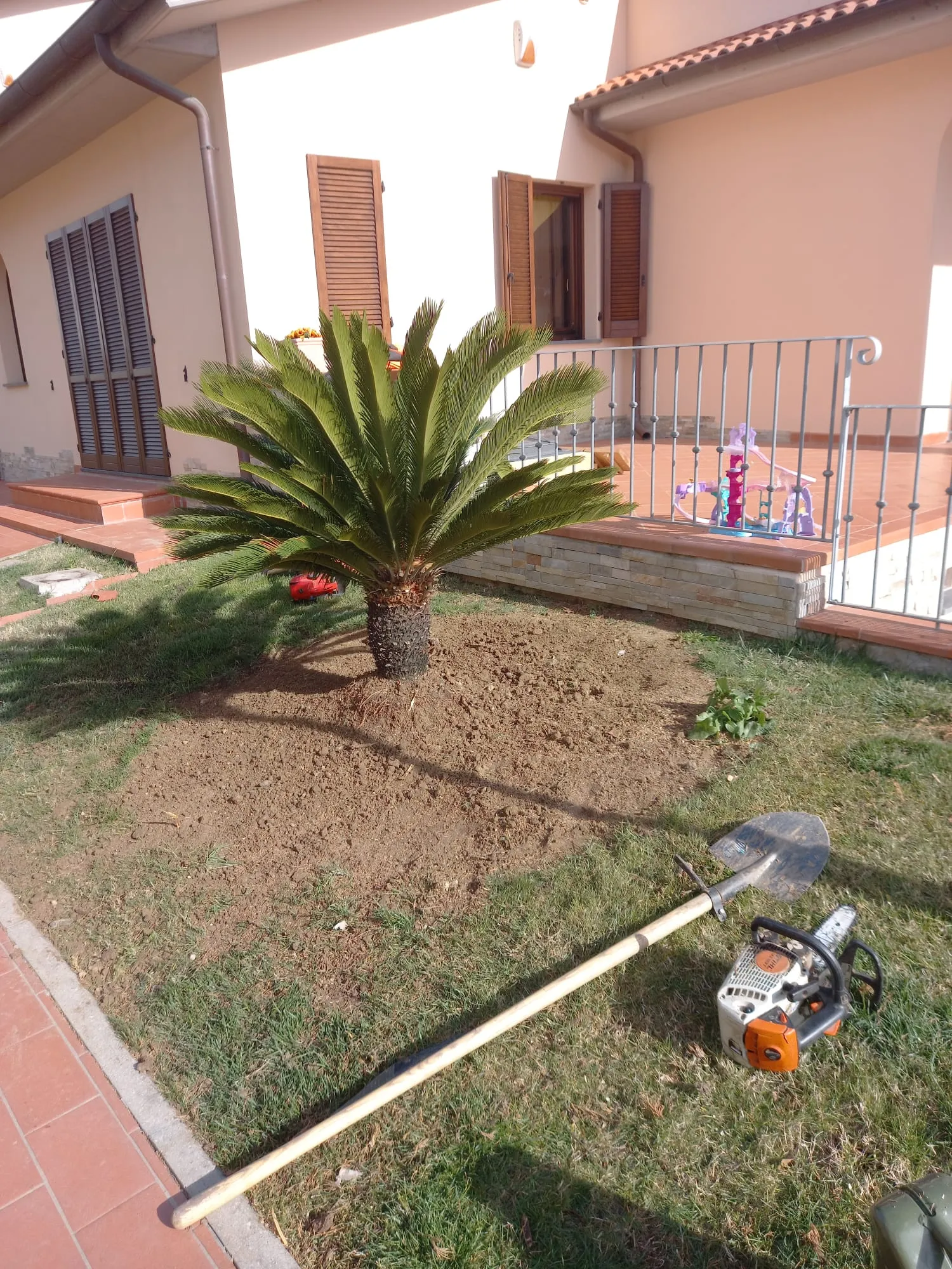 Decorazioni-3.jpg