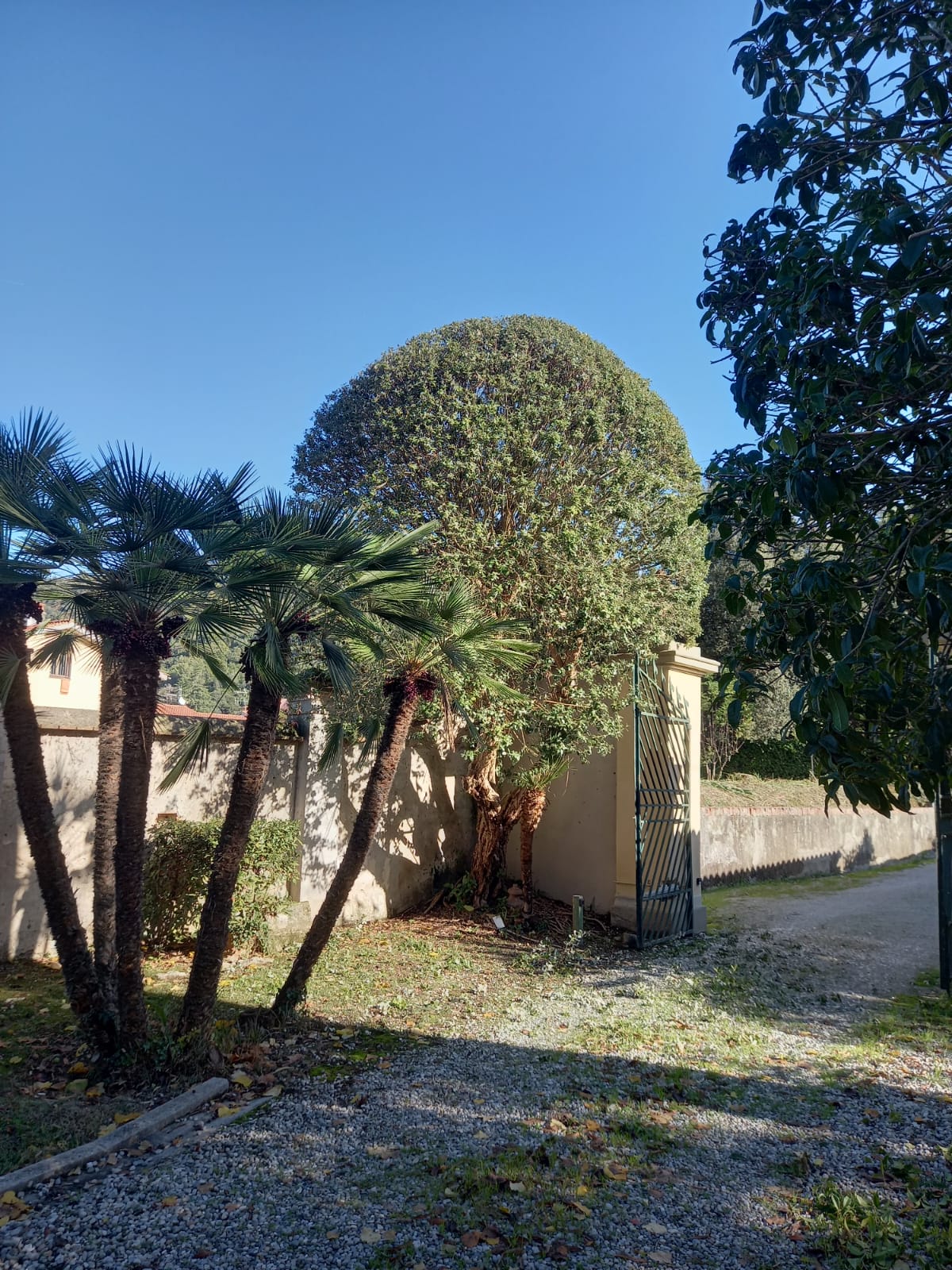 Decorazioni-5.jpg