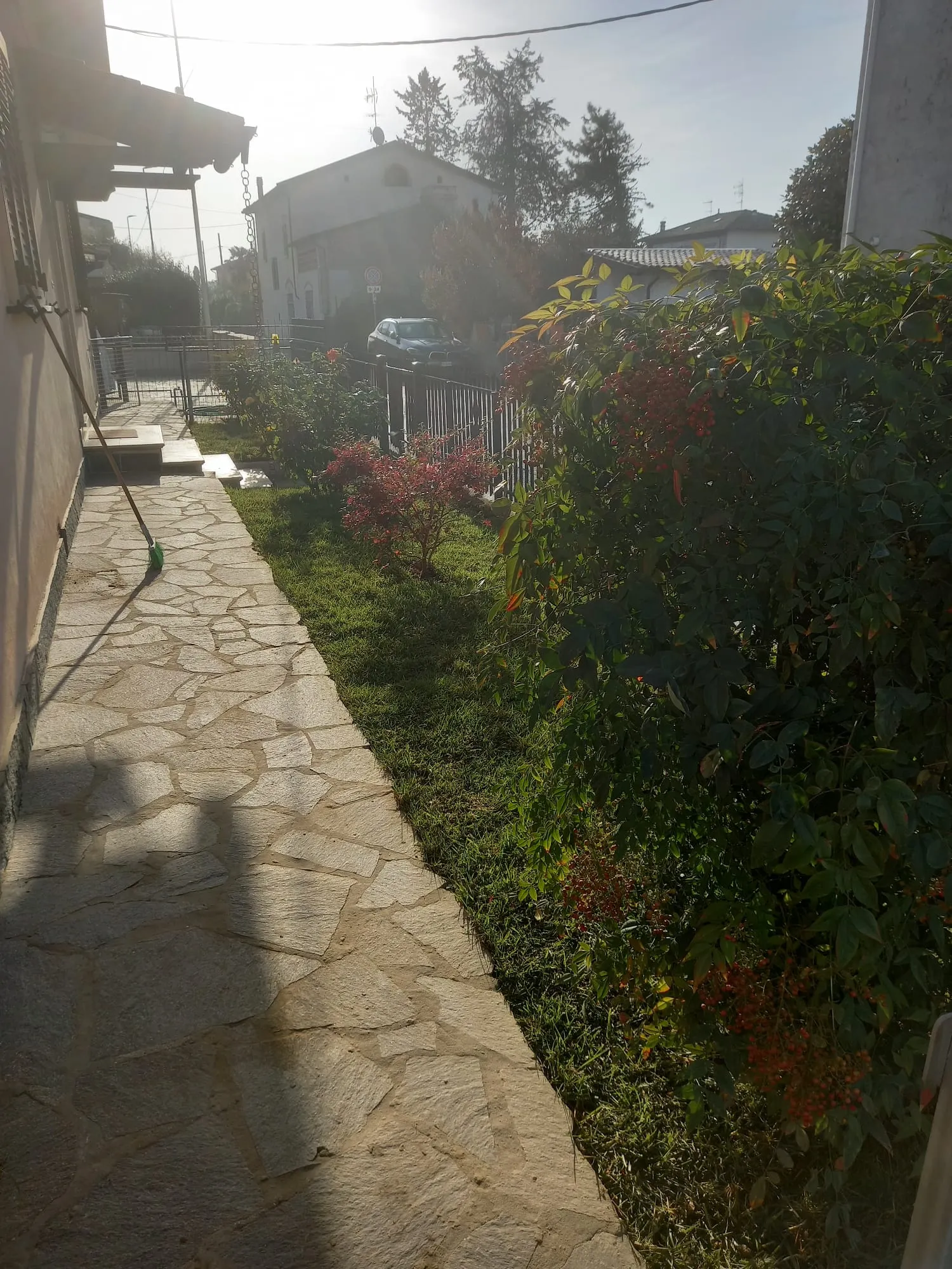 Decorazioni-6.jpg