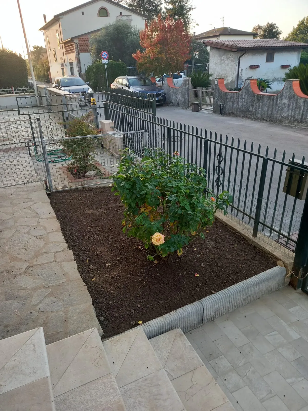 Decorazioni-7.jpg